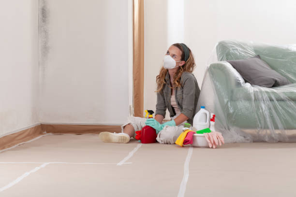 Reliable Bathroom Mold Removal contractor in Carrollton, TX by WQB Mold Removal