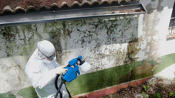 Top rated local Bathroom Mold Removal specialists in Carrollton, TX
